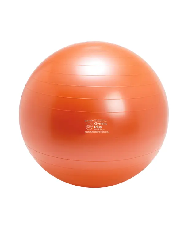Gymnic Plus BRQ Physiotherapy Ball - Image 12