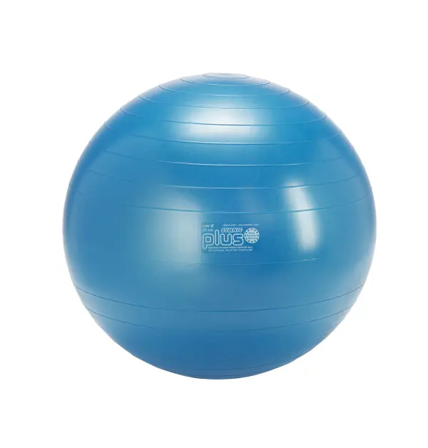Gymnic Plus BRQ Physiotherapy Ball - Image 13