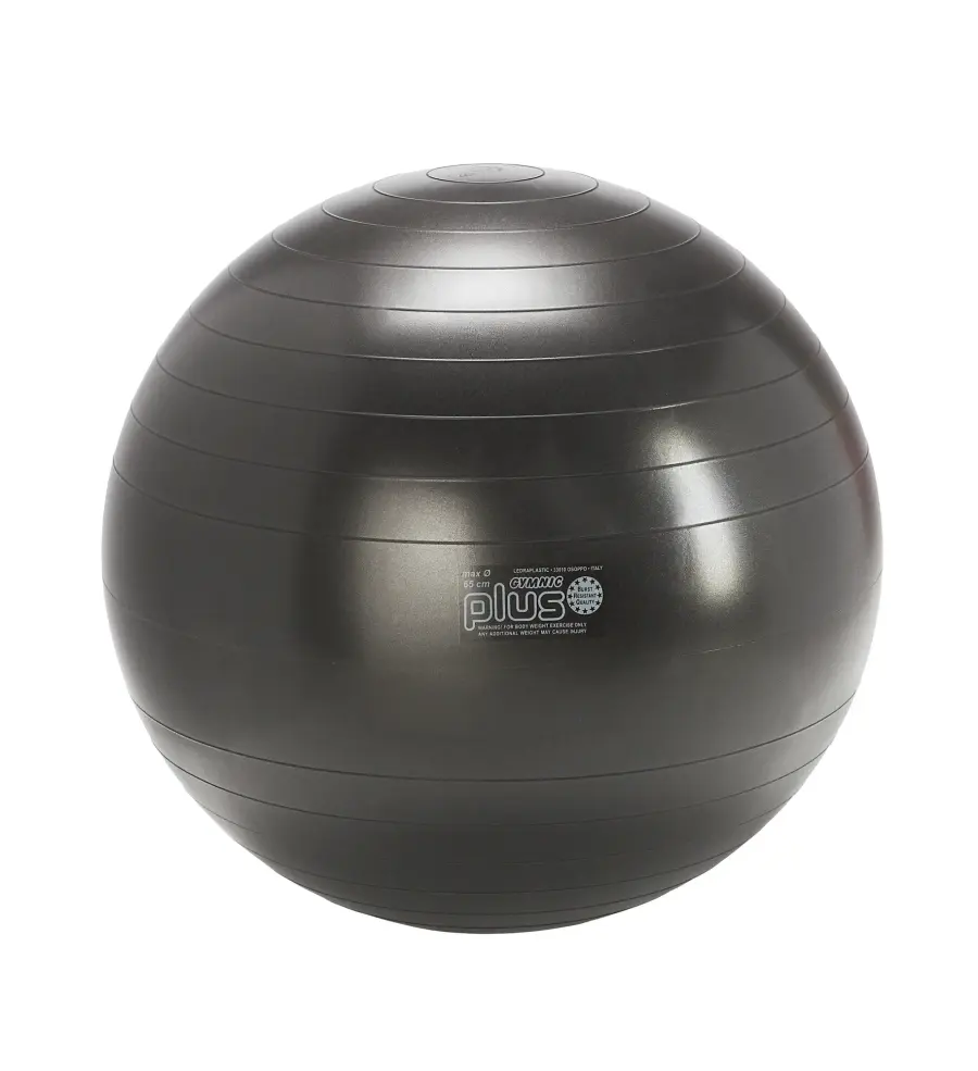 Gymnic Plus BRQ Physiotherapy Ball - Image 14