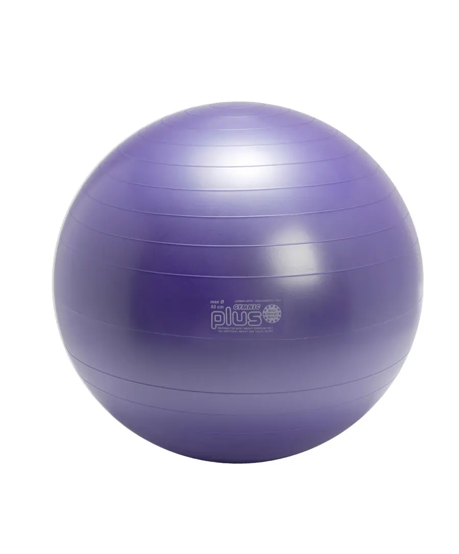 Gymnic Plus BRQ Physiotherapy Ball - Image 15