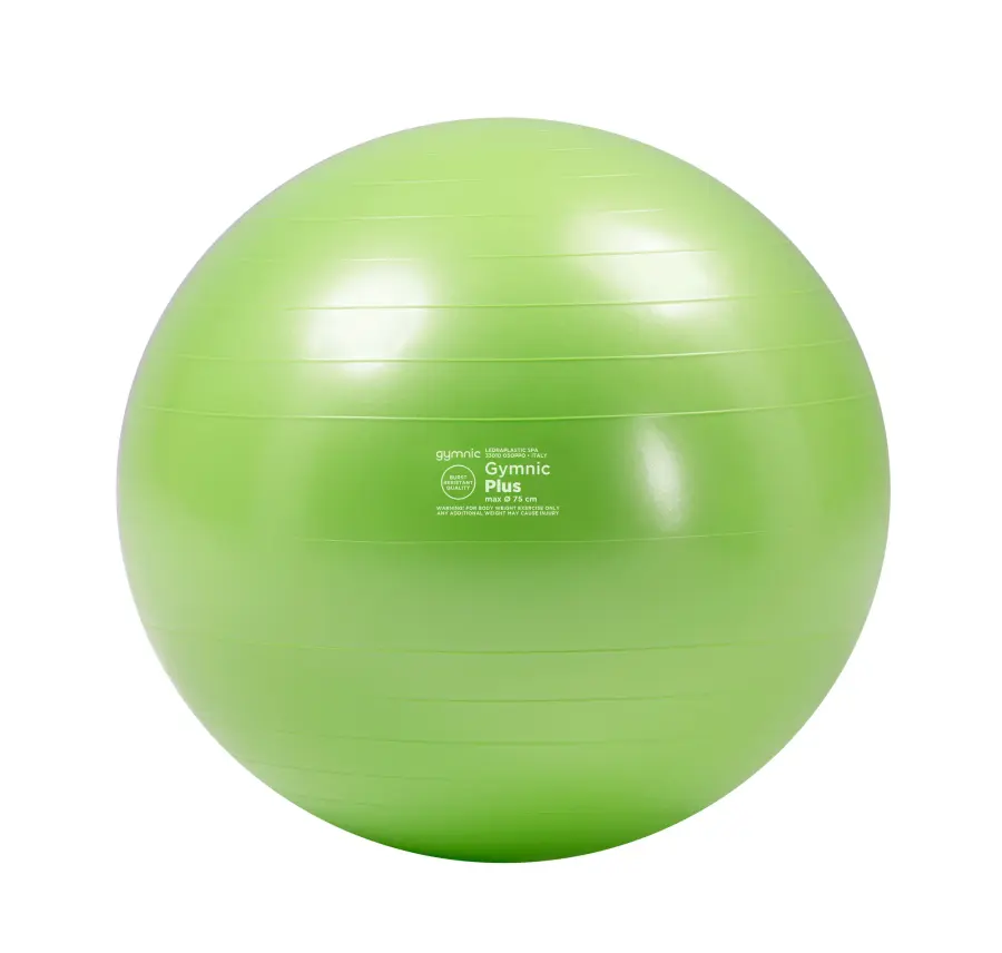 Gymnic Plus BRQ Physiotherapy Ball - Image 16