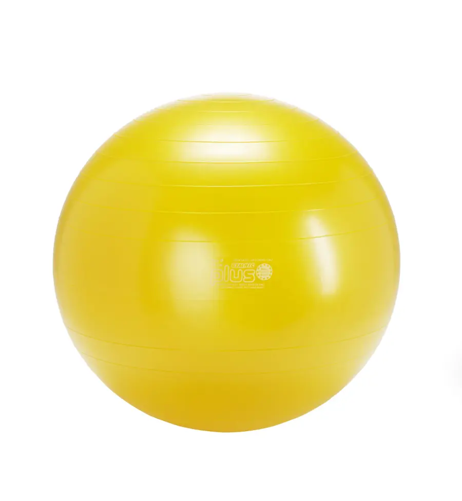 Gymnic Plus BRQ Physiotherapy Ball - Image 17