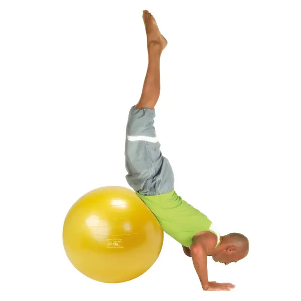 Gymnic Plus BRQ Physiotherapy Ball - Image 4