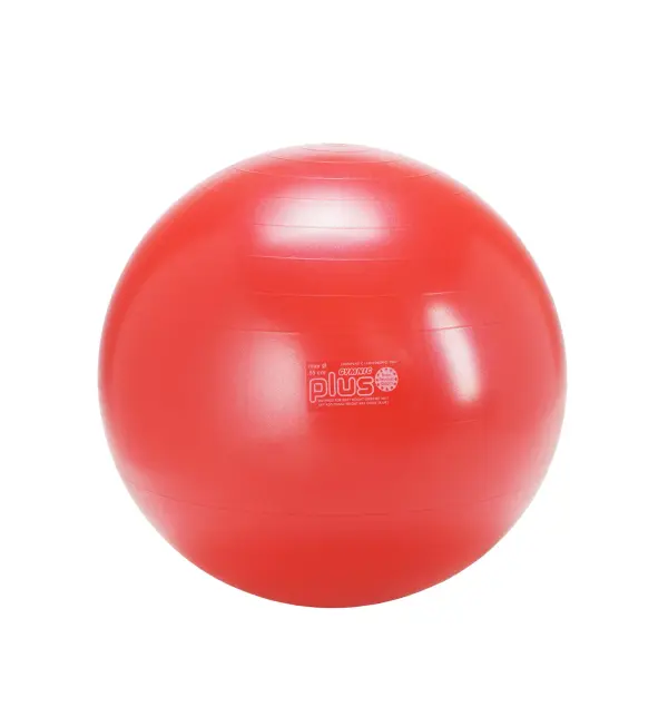 Gymnic Plus BRQ Physiotherapy Ball - Image 10