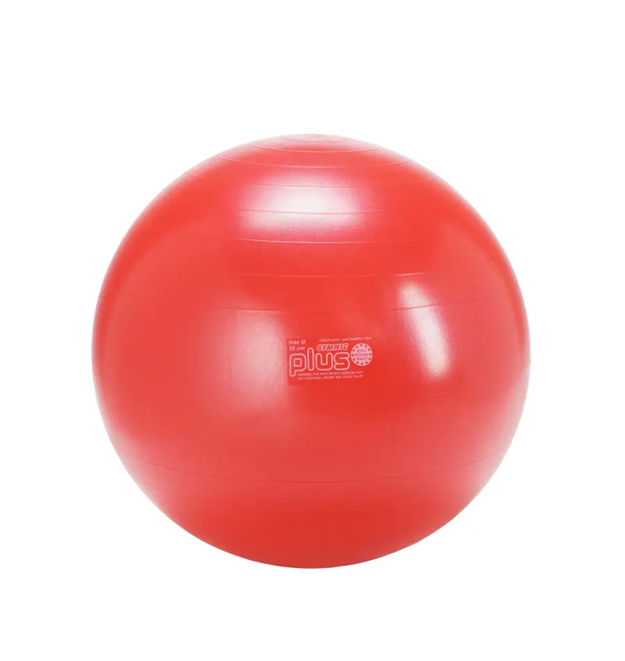 Gymnic Plus BRQ Physiotherapy Ball - Image 10