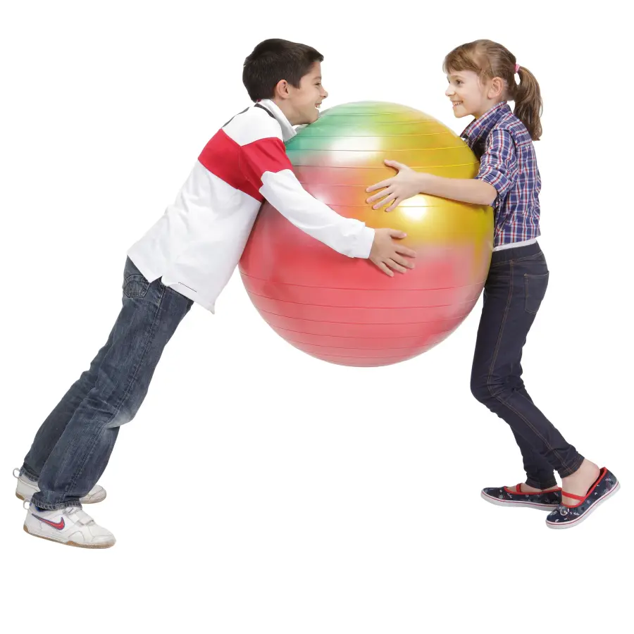 Gymnic Arte BRQ Physiotherapy & Fitness Ball - Image 4