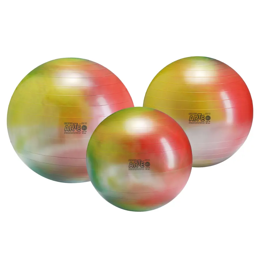 Gymnic Arte BRQ Physiotherapy & Fitness Ball - Image 7