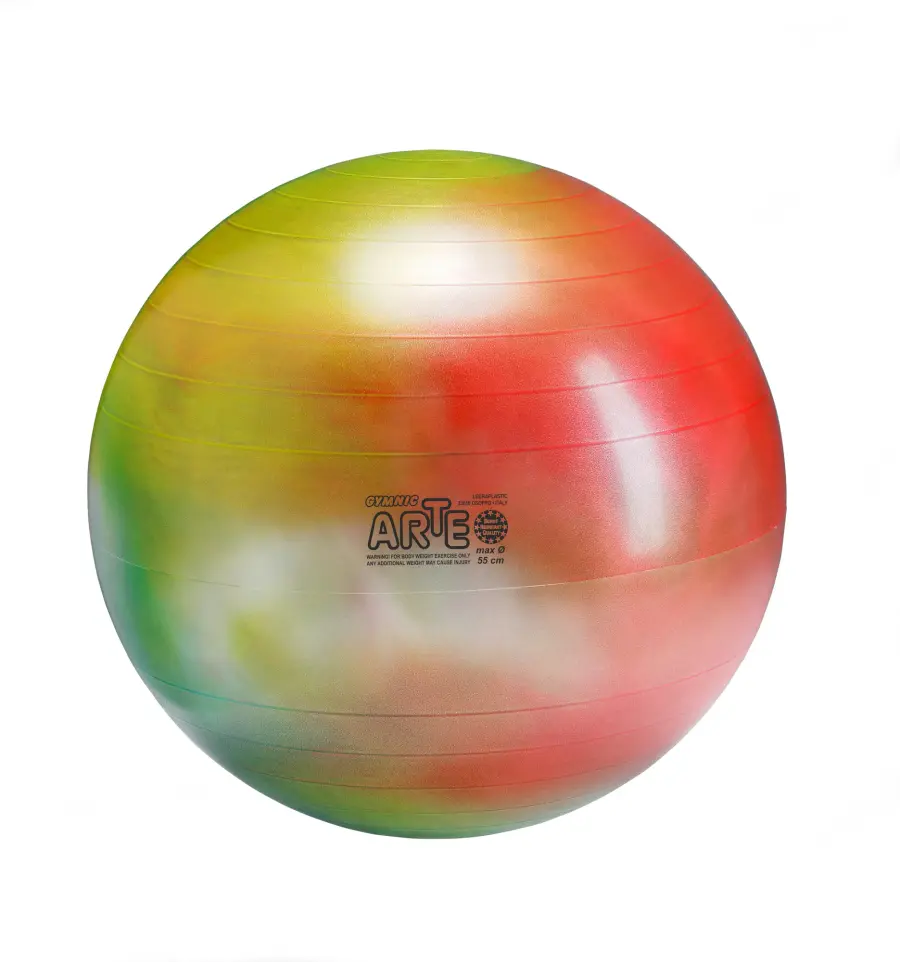 Gymnic Arte BRQ Physiotherapy & Fitness Ball - Image 8