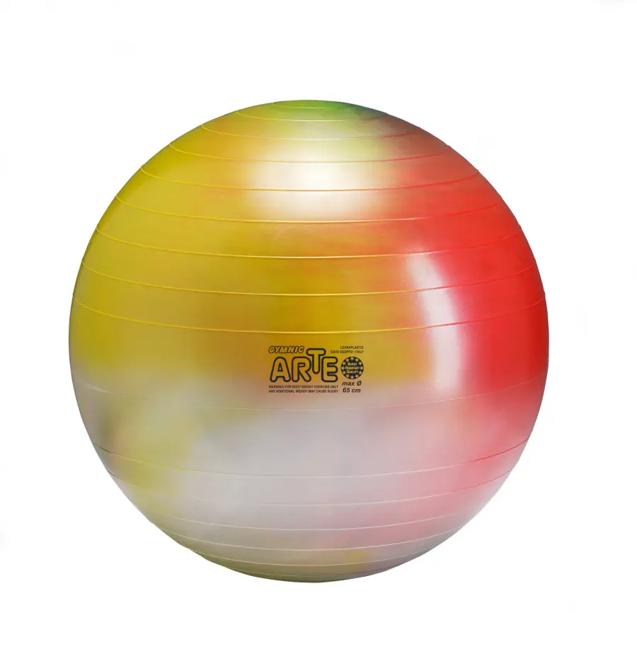 Gymnic Arte BRQ Physiotherapy & Fitness Ball - Image 9