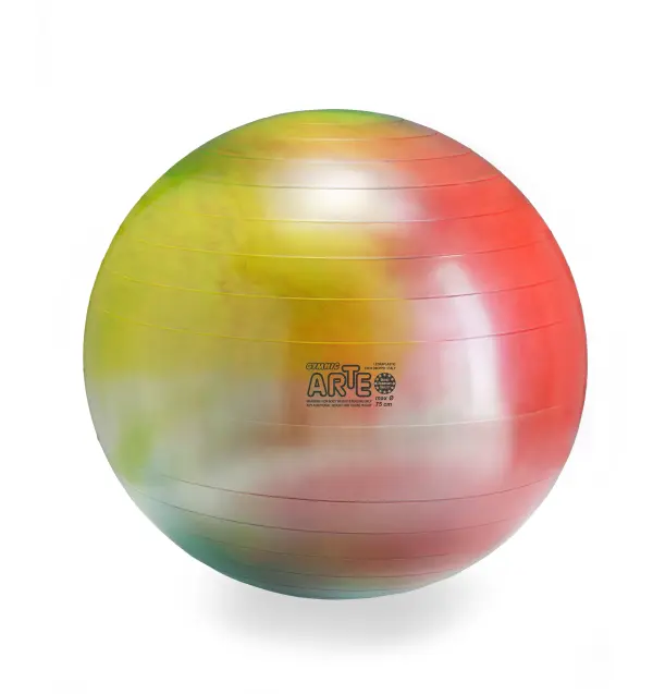 Gymnic Arte BRQ Physiotherapy & Fitness Ball - Image 10