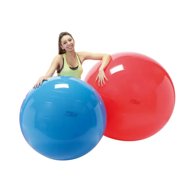 Professional-grade 120cm exercise ball designed for physiotherapy, group activities, and balance training. Made in Italy with durable construction, ideal for therapeutic settings requiring trainer assistance.