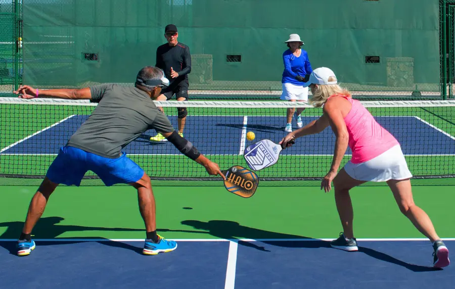 The Pickleball by Kettler USA - Image 2