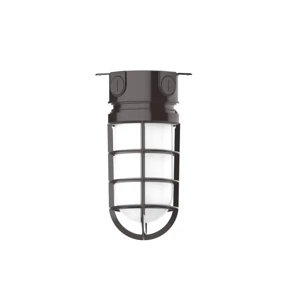 The Flush Mount Ceiling Light mounts close to the ceiling allowing for maximum head room. Ours are UL wet rated for outdoor use on a front porch, or in an entryway, and work well for interior use in the kitchen, hallway, bedroom, or bathroom. Our weathertight glass and guard will protect your light source from damage in a storm, as well as light your way in great nautical style. Collection: Vaportite Finish: Architectural Bronze Glass: 5 1/2 inch Vaportite Notes: Option (1) A19 LED and 1-Integrated 8W Width: 5.50" Height: 9.50" Length: 5.50" Weight: 8.00 lb Canopy: 5.5" diameter Number of Bulbs: 1 Maximum Wattage: 100.00 W Bulb Type: A19 Bulb Base: E26 Medium Light Source: Incandescent or LED equivalent Dimmable Voltage: 120.00 V Country of Origin: US Safety Listing: UL/cUL Safety Rating: Wet Dark Sky LED Manufacturer Warranty: 1-year limited warranty on the fixture.