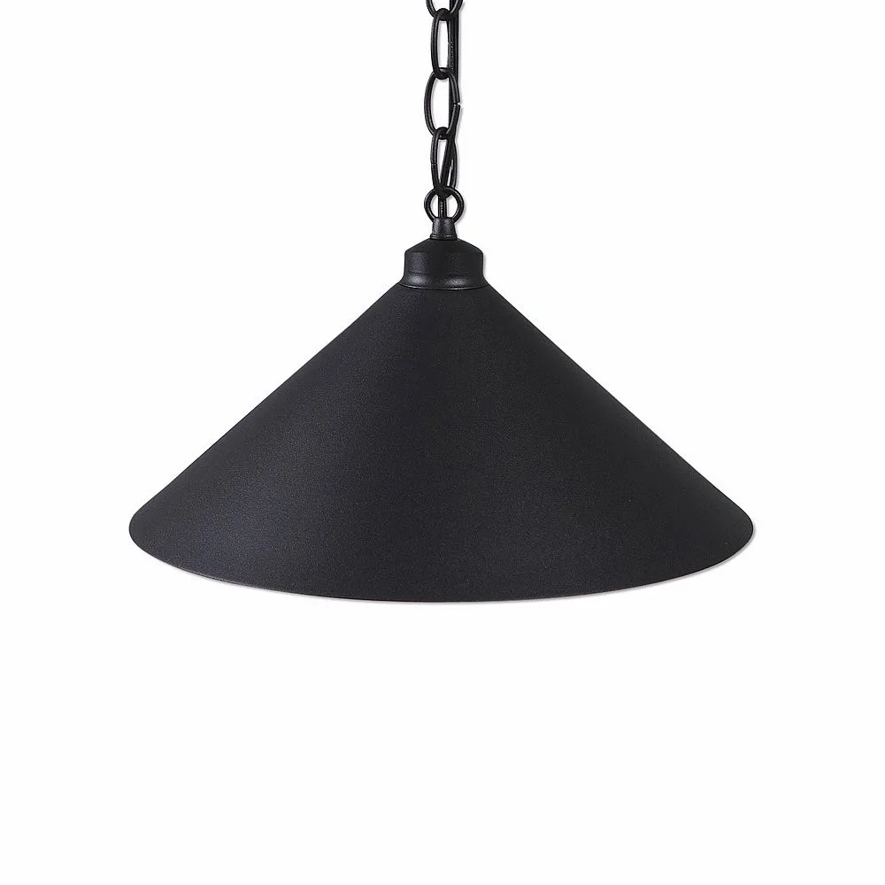 Canyon Black Iron One Light Pendant in Black Iron