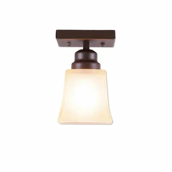 Log Cabin style Close-to-Ceiling Lights handmade in USA by Avalanche Ranch Lighting. This light features our exclusive metal wildlife art of a Rustic Plain. This Ceiling Light is ideal for anyone looking to add rustic character or unique log home lighting to their home. Dimensions (inches): 6h x 5w and Takes 1 - Type A19 bulb - 100W max. Collection: Woodland-Rustic Plain Finish: Dark Bronze Metallic Glass: Tes Stain Glass Width: 5.00" Height: 6.00" Length: 5.00" Number of Bulbs: 1 Maximum Wattage: 100.00 W Bulb Type: A19 Bulb Base: Medium