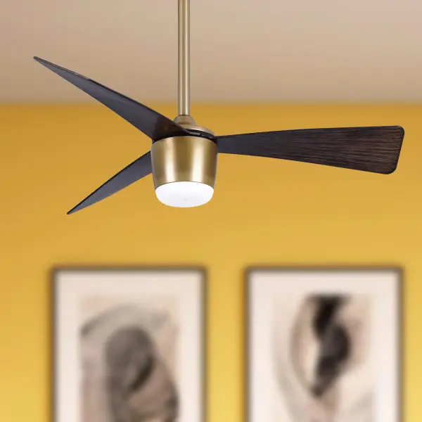 Elavan 36" LED Indoor/Outdoor Ceiling Fan - Image 11