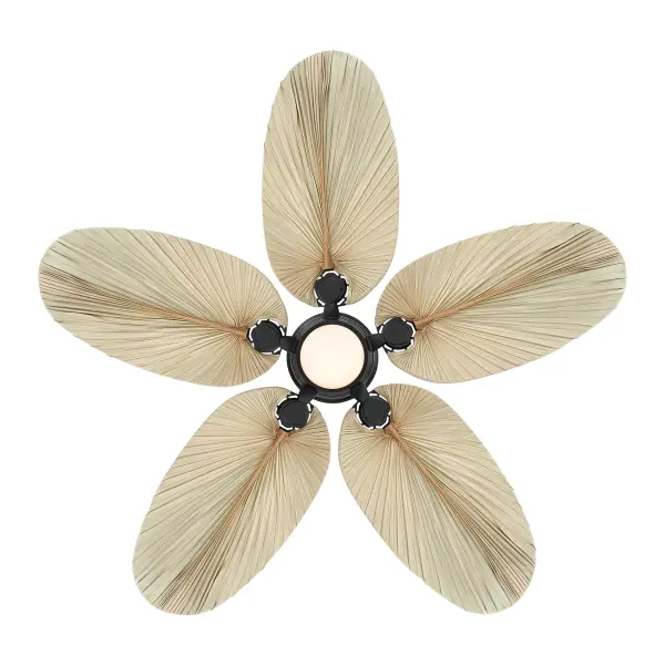 Portesa 60" 5CCT LED Smart Ceiling Fan - Image 4