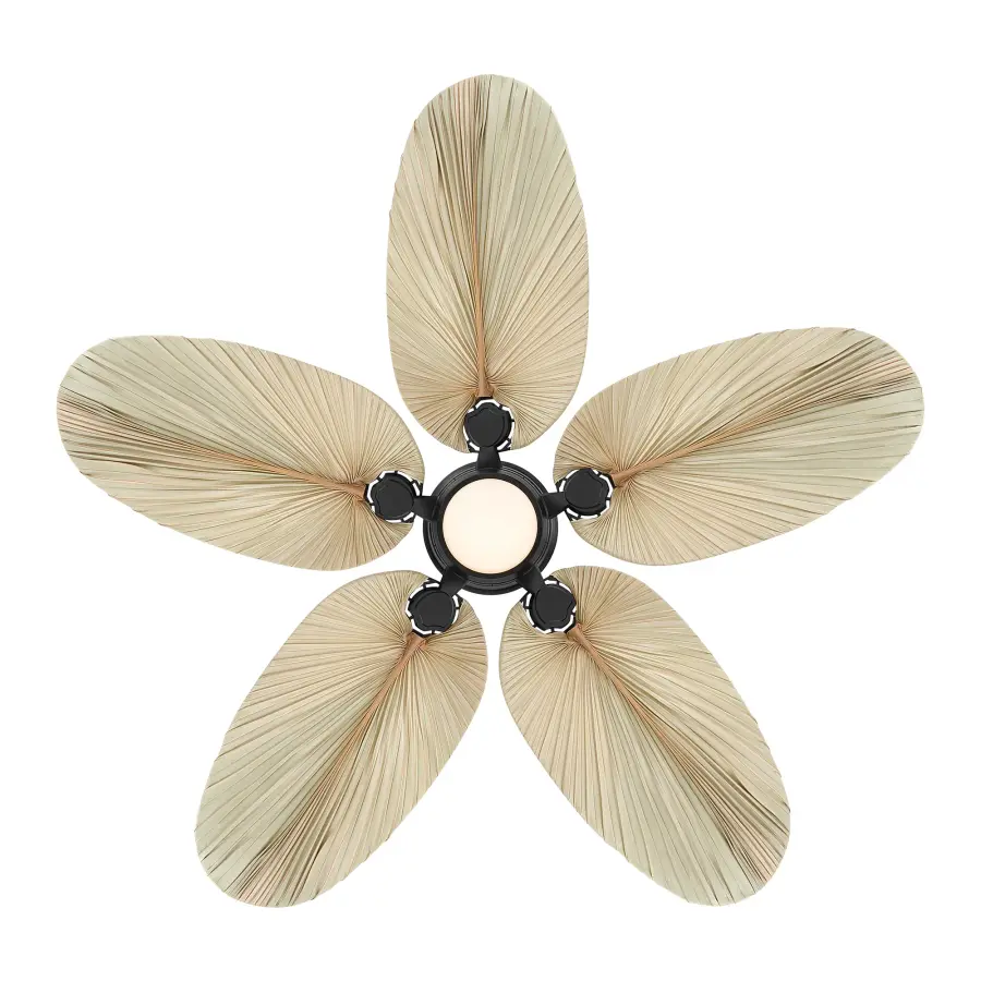 Portesa 60" 5CCT LED Smart Ceiling Fan - Image 4