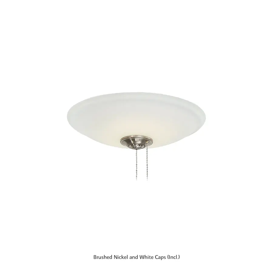 Universal LED Light Kit with Etched White Glass