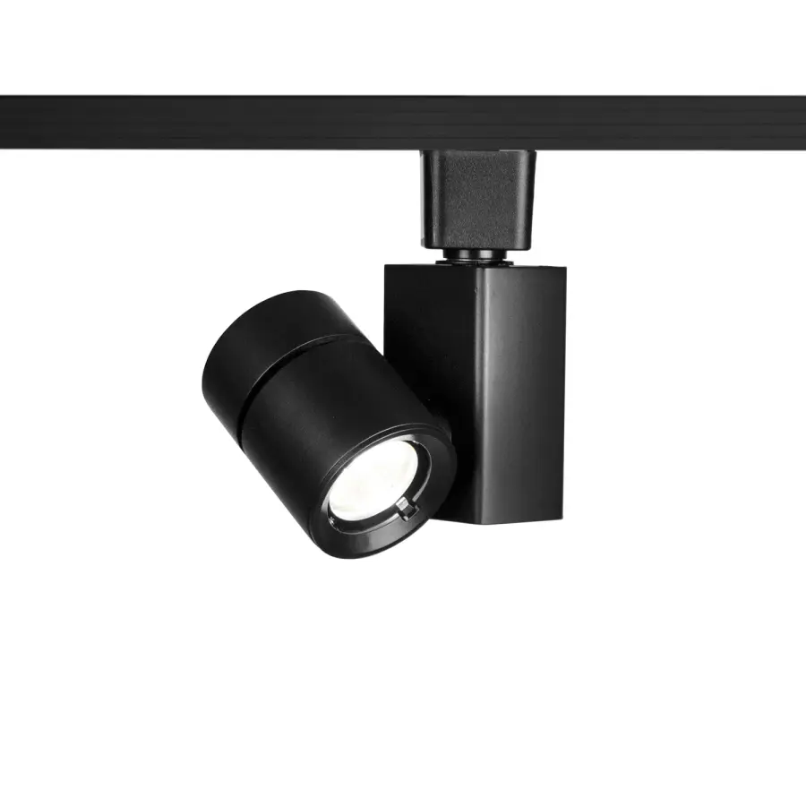 The Exterminator Ii- 1014 by W.A.C. Lighting
