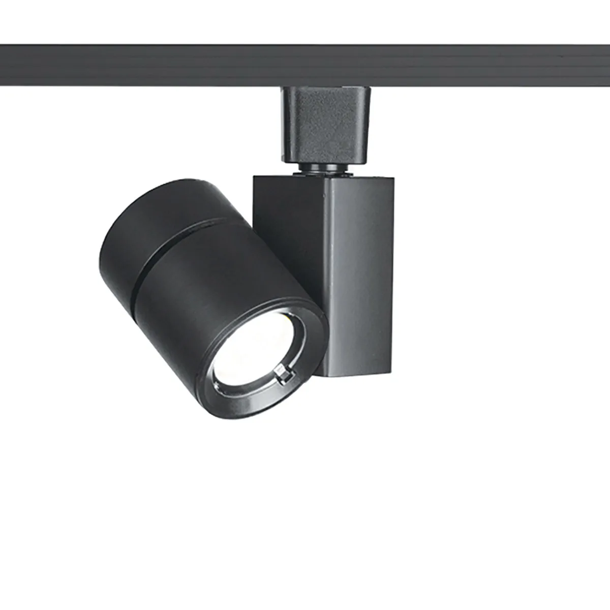 Exterminator Ii- 1023 LED Track Head in Black