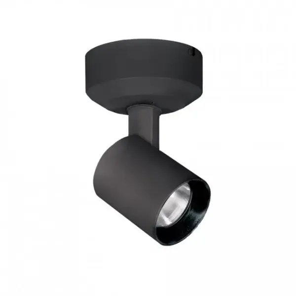 Lucio is an architectural LED luminaire with fine tuned optics designed for applications where the details matter. Lucio features the option for an ultra spot beam with a tight 6-8° beam spread or an asymmetrical spread for a clean wall wash with minimal light spillage. Available in a variety of color temperatures and beam distributions including asymmetric, flood, narrow, spot, and ultra spot. 365° horizontal aiming and 90° vertical aiming with indexed markings to propagate settings on nearby fixtures with ease.