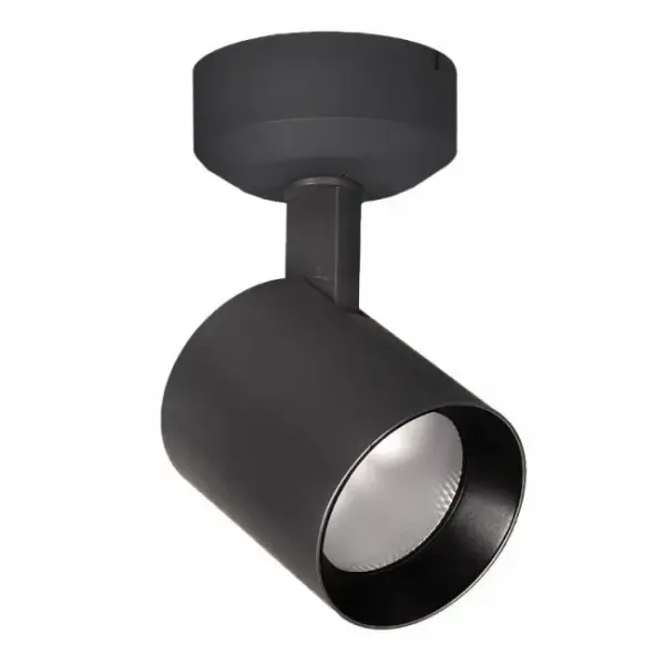 Lucio is an architectural LED luminaire with fine tuned optics designed for applications where the details matter. Lucio features the option for an ultra spot beam with a tight 6-8° beam spread or an asymmetrical spread for a clean wall wash with minimal light spillage. Available in a variety of color temperatures and beam distributions including asymmetric, flood, narrow, spot, and ultra spot. 365° horizontal aiming and 90° vertical aiming with indexed markings to propagate settings on nearby fixtures with ease.
