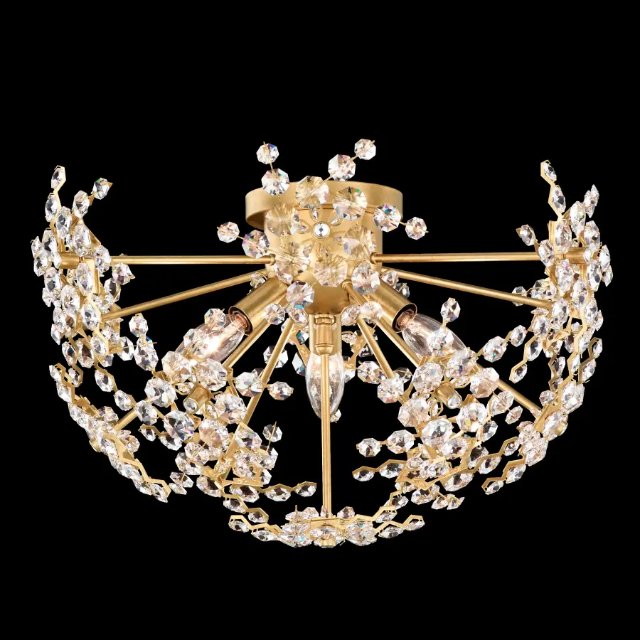 The Esteracae by W.A.C. Lighting