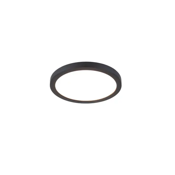 Ultra-slim flush mount that uses edge-lit technology and a translucent diffuser for uniform illumination without shadows or hotspots.