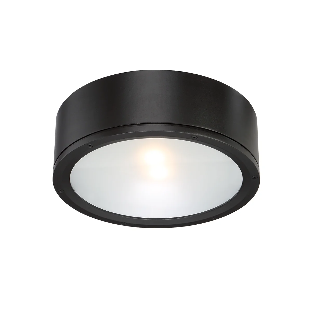 Tube LED Flush Mount in Black