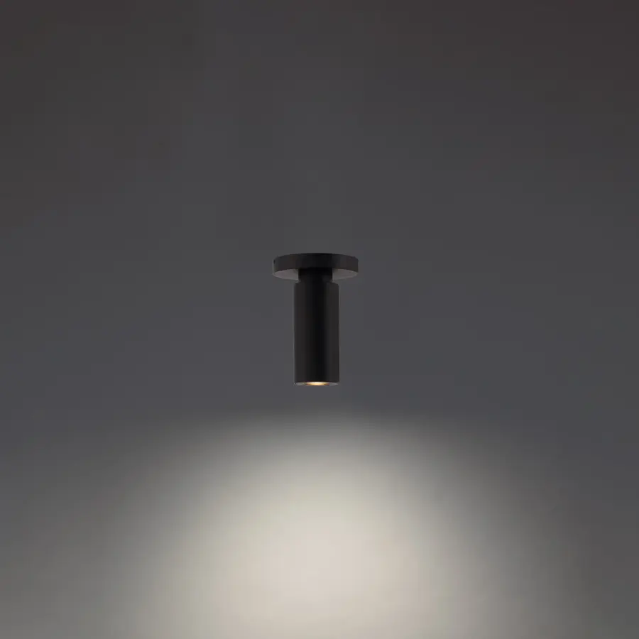 The W.A.C. Lighting - Caliber by W.A.C. Lighting