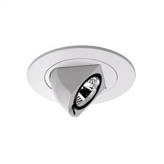 4in Round Adjustable Directional Trim