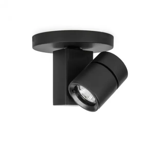 The Exterminator II offers superior light output in a compact, unobtrusive design.  The Exterminator II collection was developed for upscale residential and commercial environments.  Available in four high powered LED outputs.