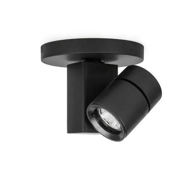 The Exterminator Ii- 1014 by W.A.C. Lighting
