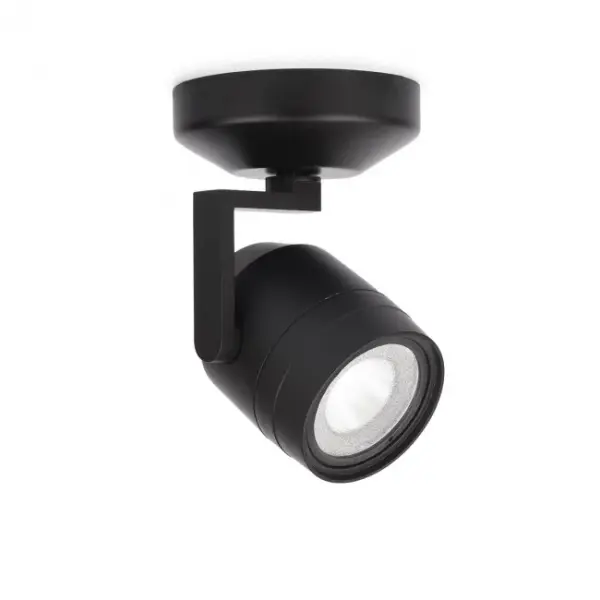 Paloma is a museum-quality LED luminaire with high performance reflector optics.  Available in 12W or 22W options in multiple color temperature, beam distribution, and finish options.  Canopy is included with fixture.  Monopoint can be ordered with an extension rod (6", 12", 18", 24", 36") to drop the head.