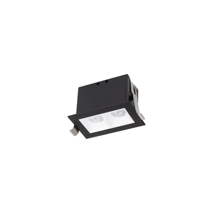 The W.A.C. Lighting - Multi Stealth by W.A.C. Lighting