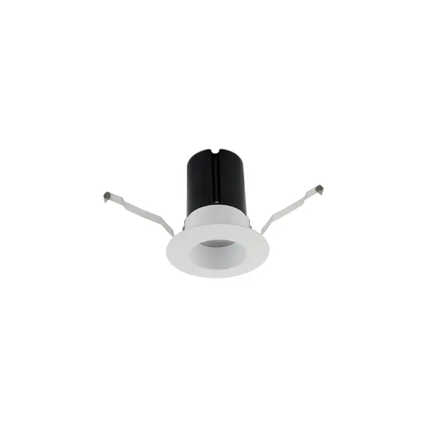 ION 2IN RND DOWNLIGHT REMODEL