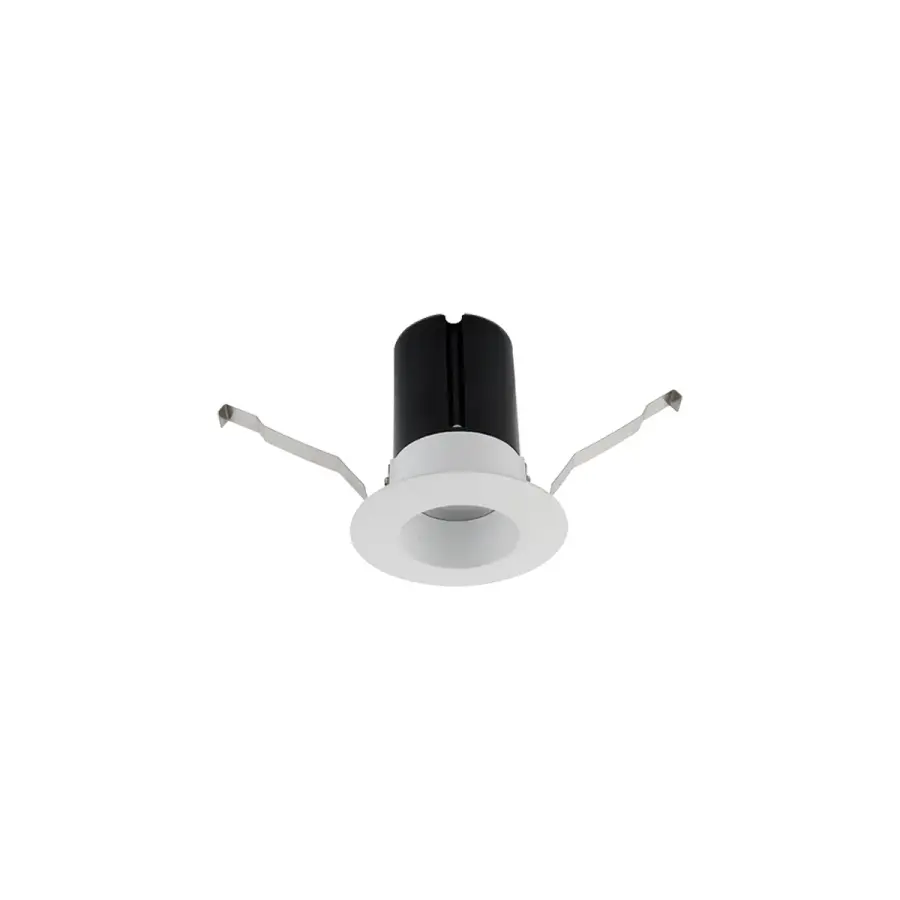 ION 2IN RND DOWNLIGHT REMODEL