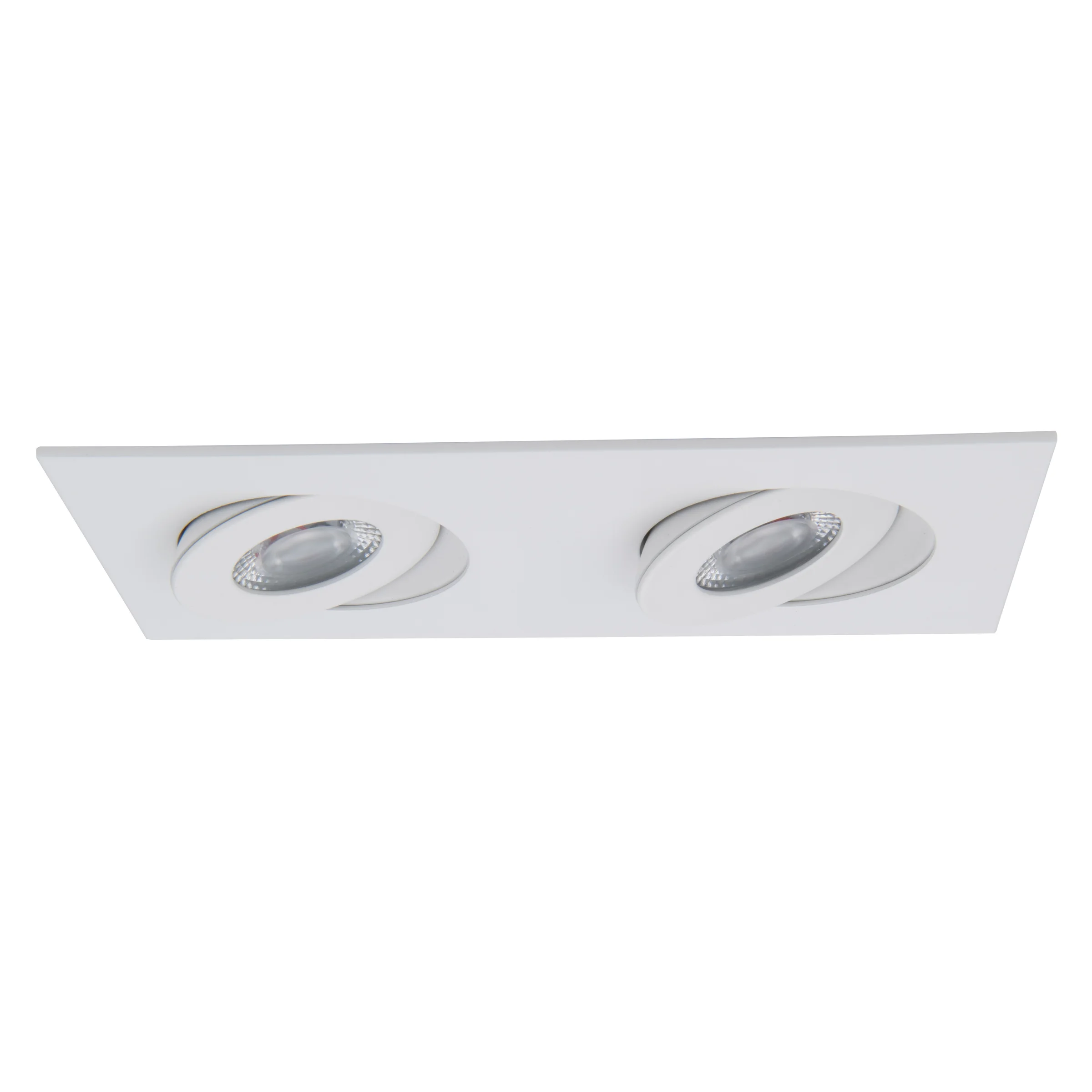Lotos 2in Square Adjustable 2 Light