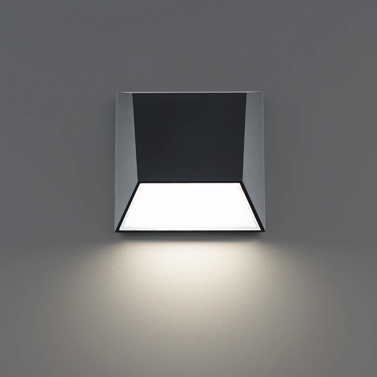 ATLANTIS Outdoor Wall Sconce Light