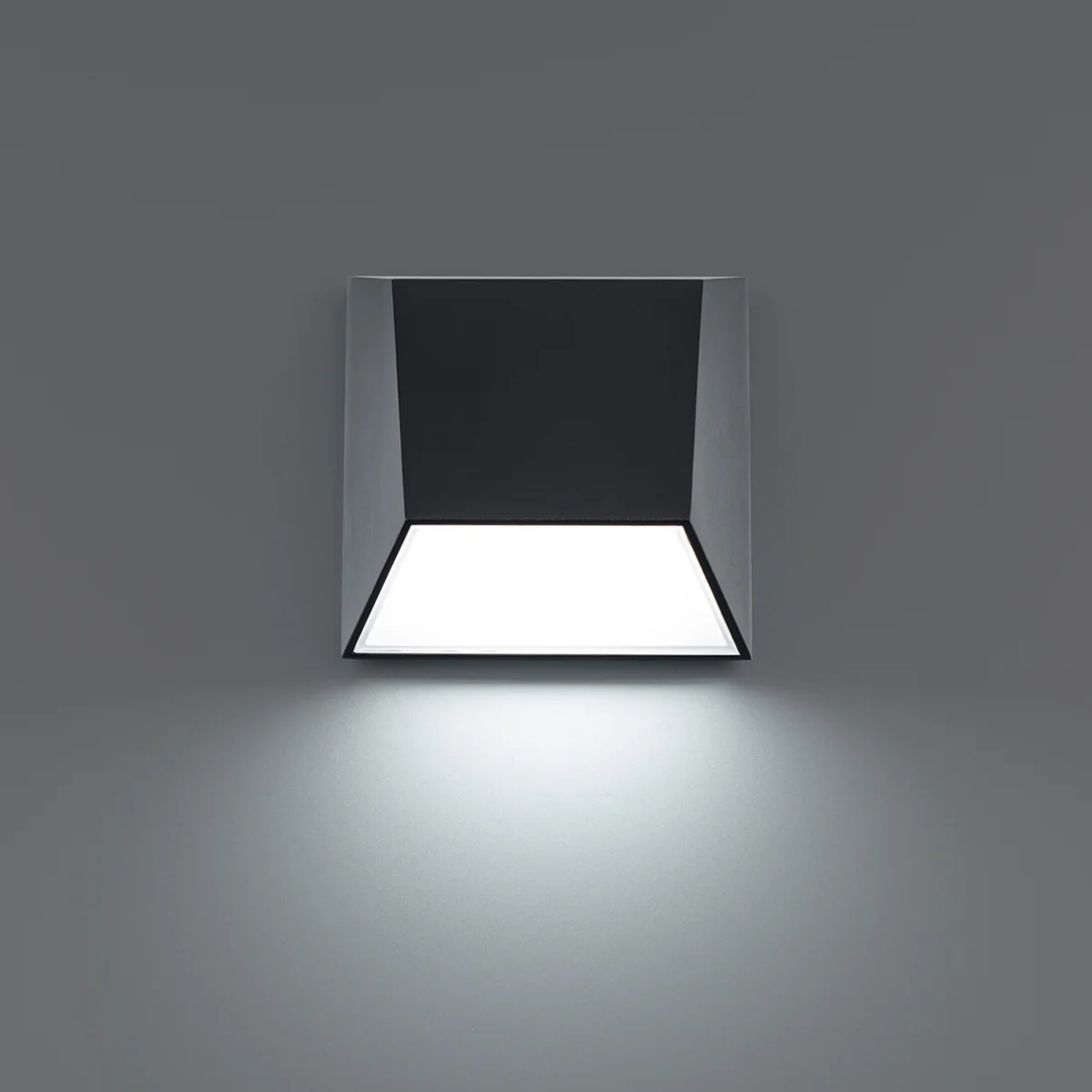 Atlantis LED Outdoor Wall Light in Black