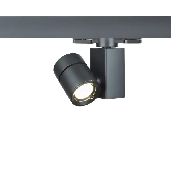 The Exterminator II offers superior light output in a compact, unobtrusive design.  The Exterminator II collection was developed for upscale residential and commercial environments.  Available in four high powered LED outputs.