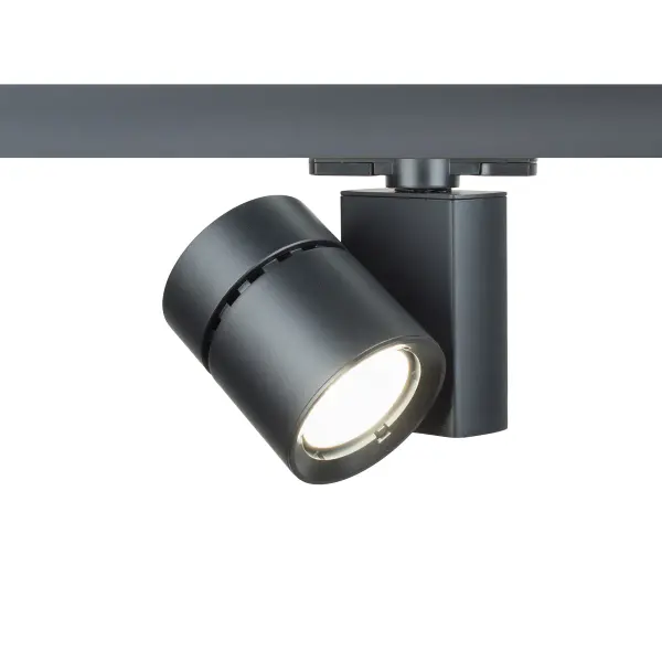 The Exterminator II offers superior light output in a compact, unobtrusive design.  The Exterminator II collection was developed for upscale residential and commercial environments.  Available in four high powered LED outputs.