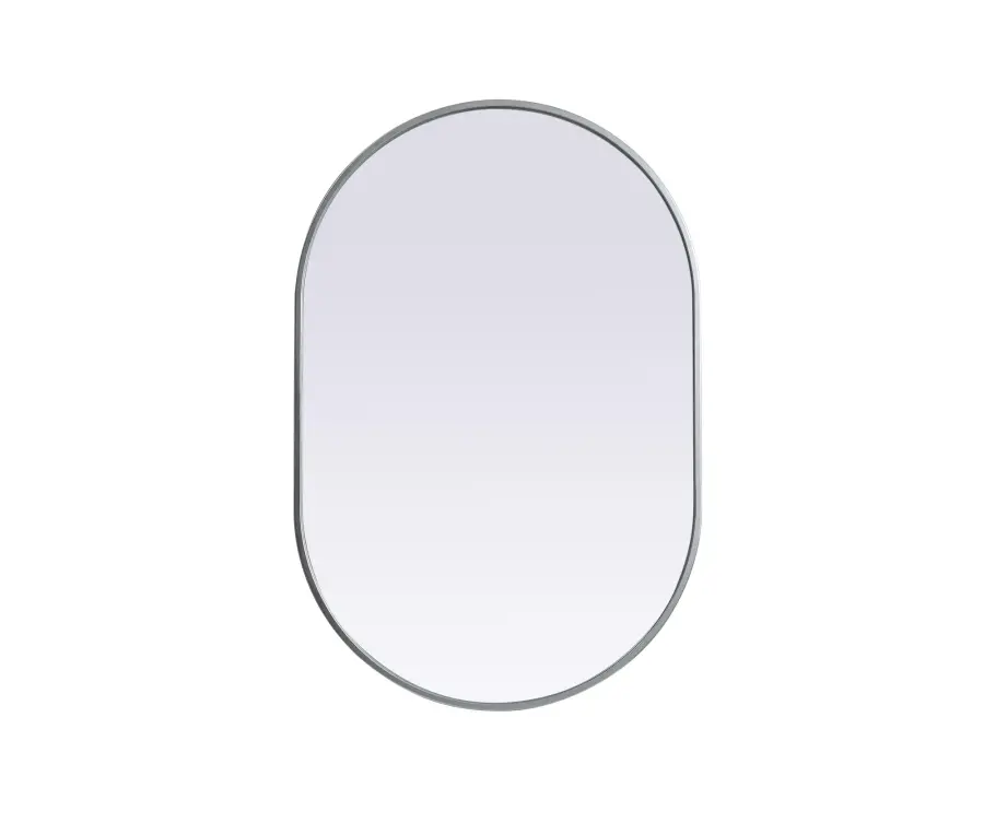 Asha 24" x 36" Pill-Shaped Wall Mirror in Silver - Image 1