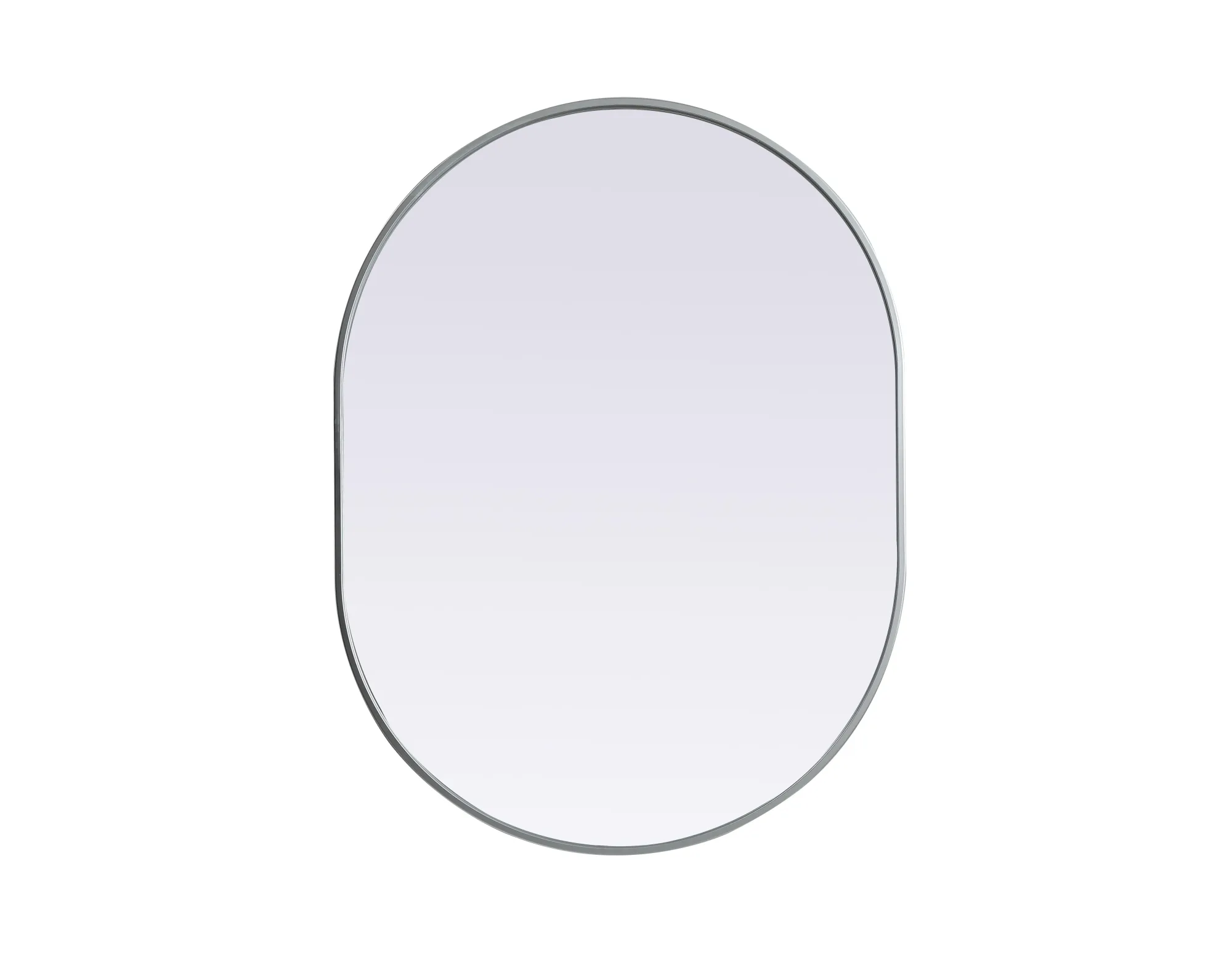 Asha 30" x 40" Pill-Shaped Wall Mirror in Silver