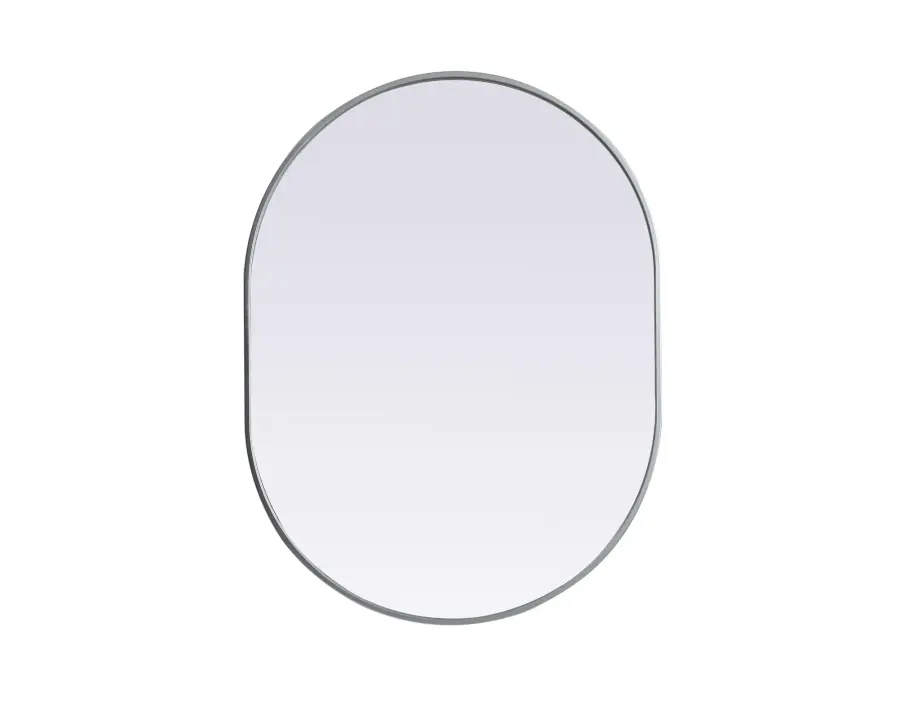 Asha 30" x 40" Pill-Shaped Wall Mirror in Silver - Image 1