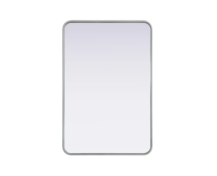 Remy 24" x 36" Wall Mirror in Silver - Image 1