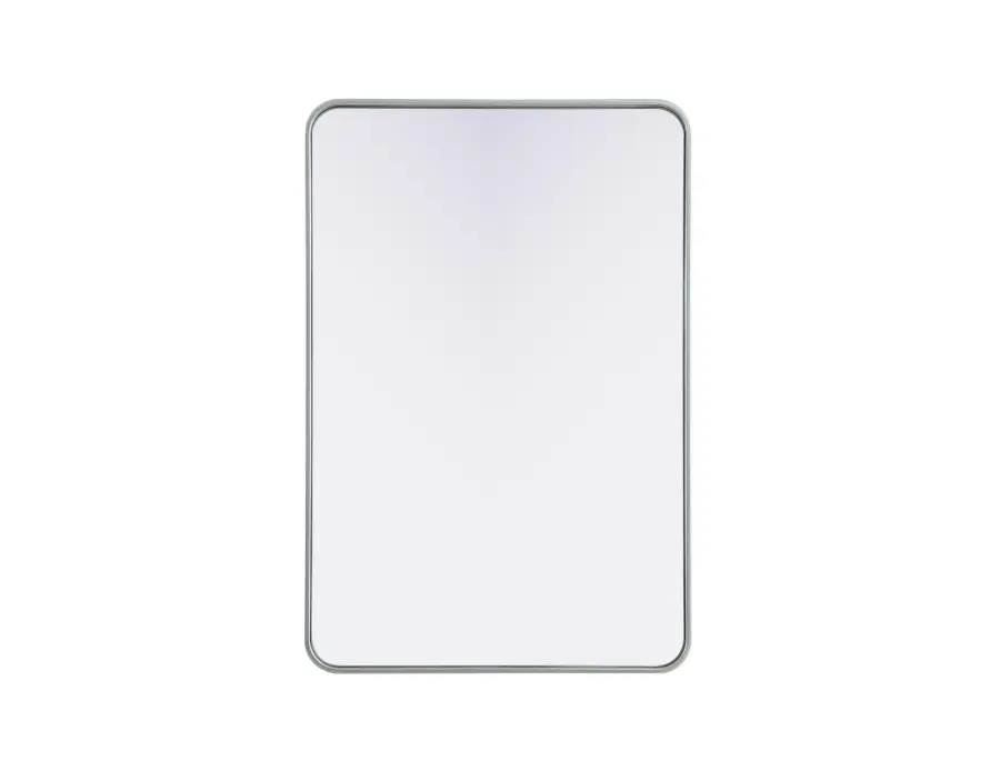 Remy 27" x 40" Wall Mirror in Silver - Image 1