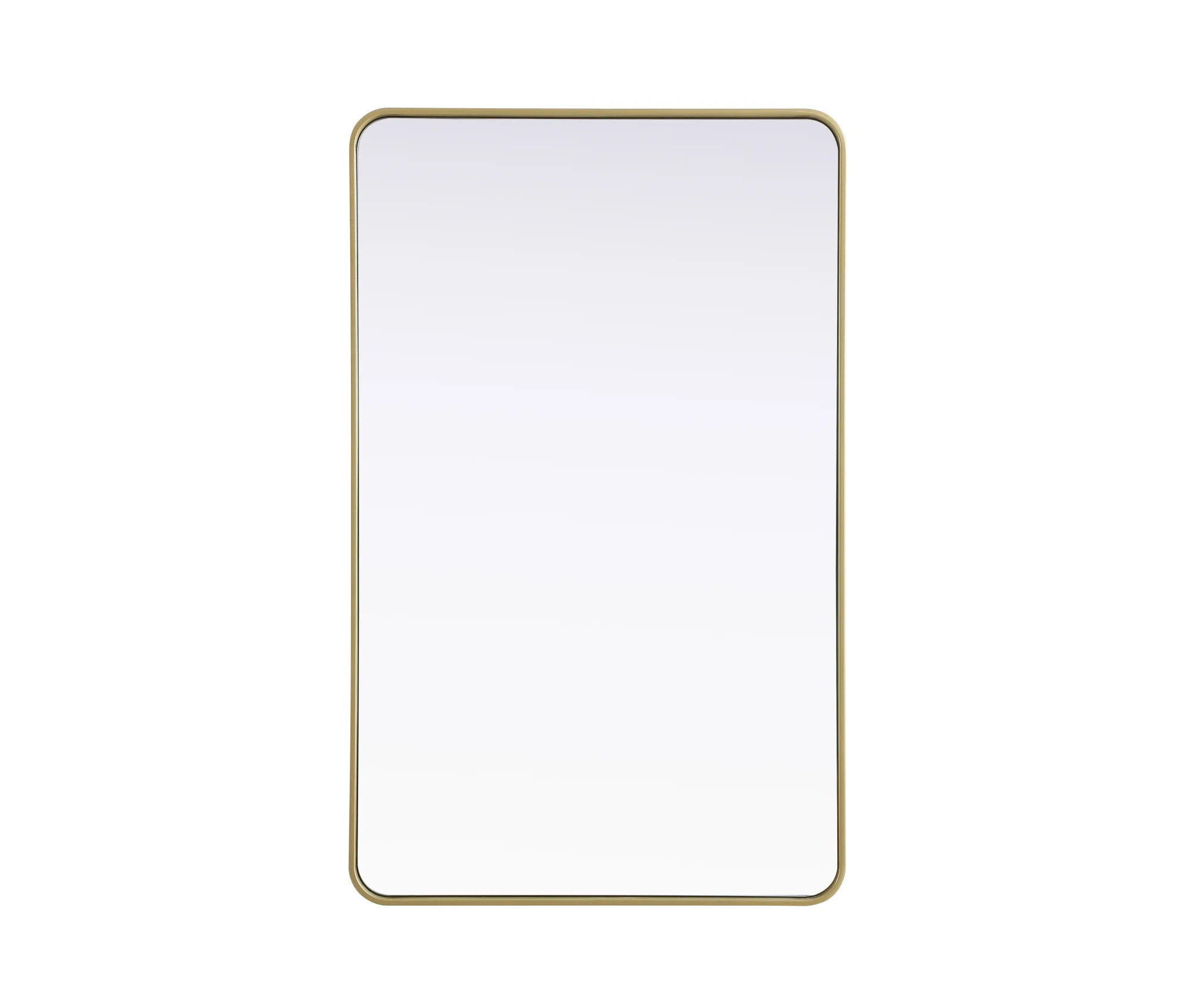 Remy 30" x 48" Wall Mirror in Brass