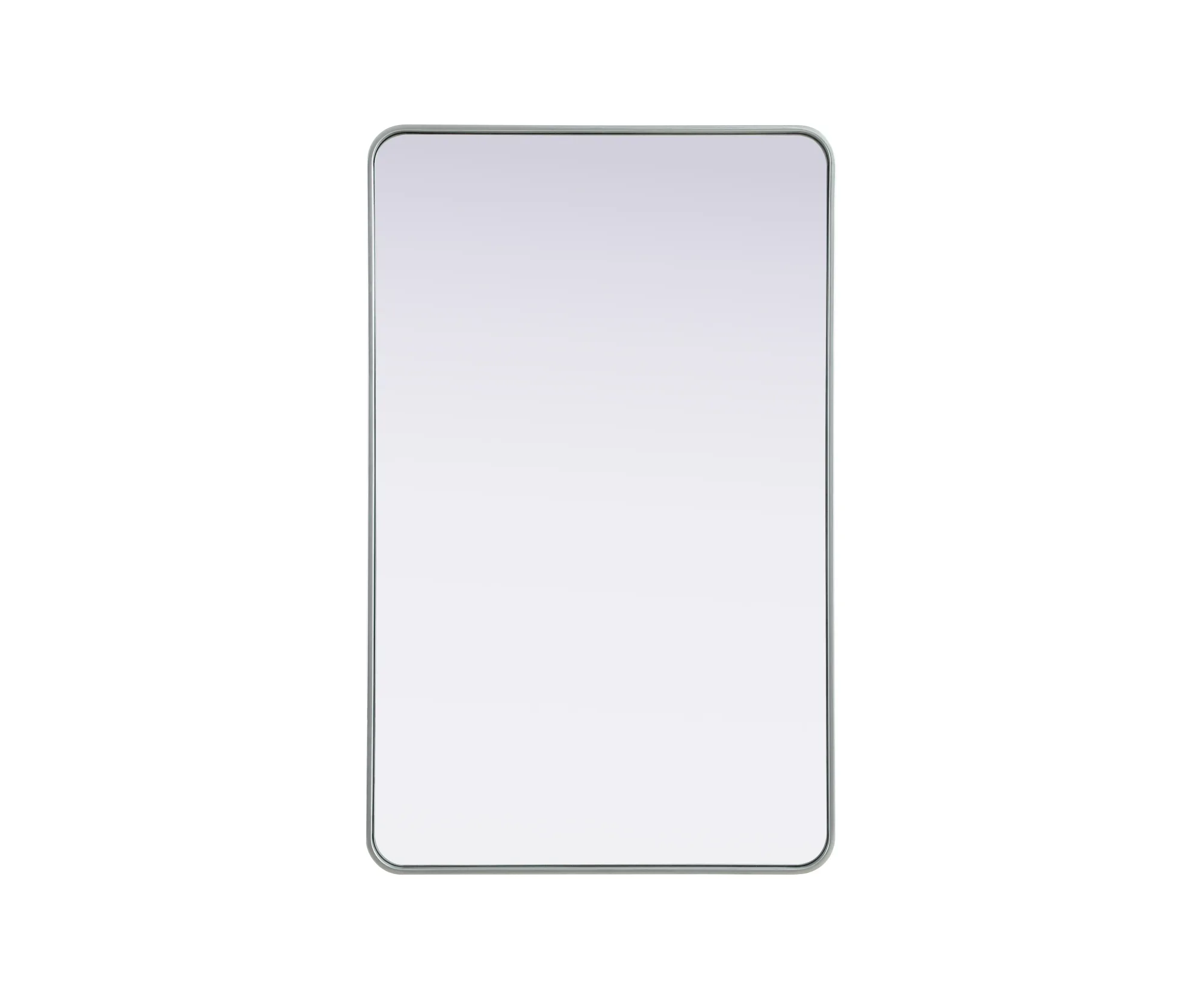 Remy 30" x 48" Wall Mirror in Silver